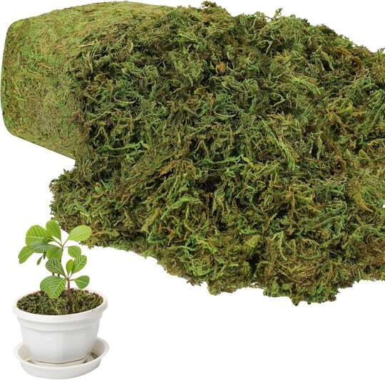 Artificial Moss for Potted Plants,Natural Fake Moss Grass Fresh Green Moss for Hamsters,Craft Moss and Greenery Bulk for Garden Wedding Decoration